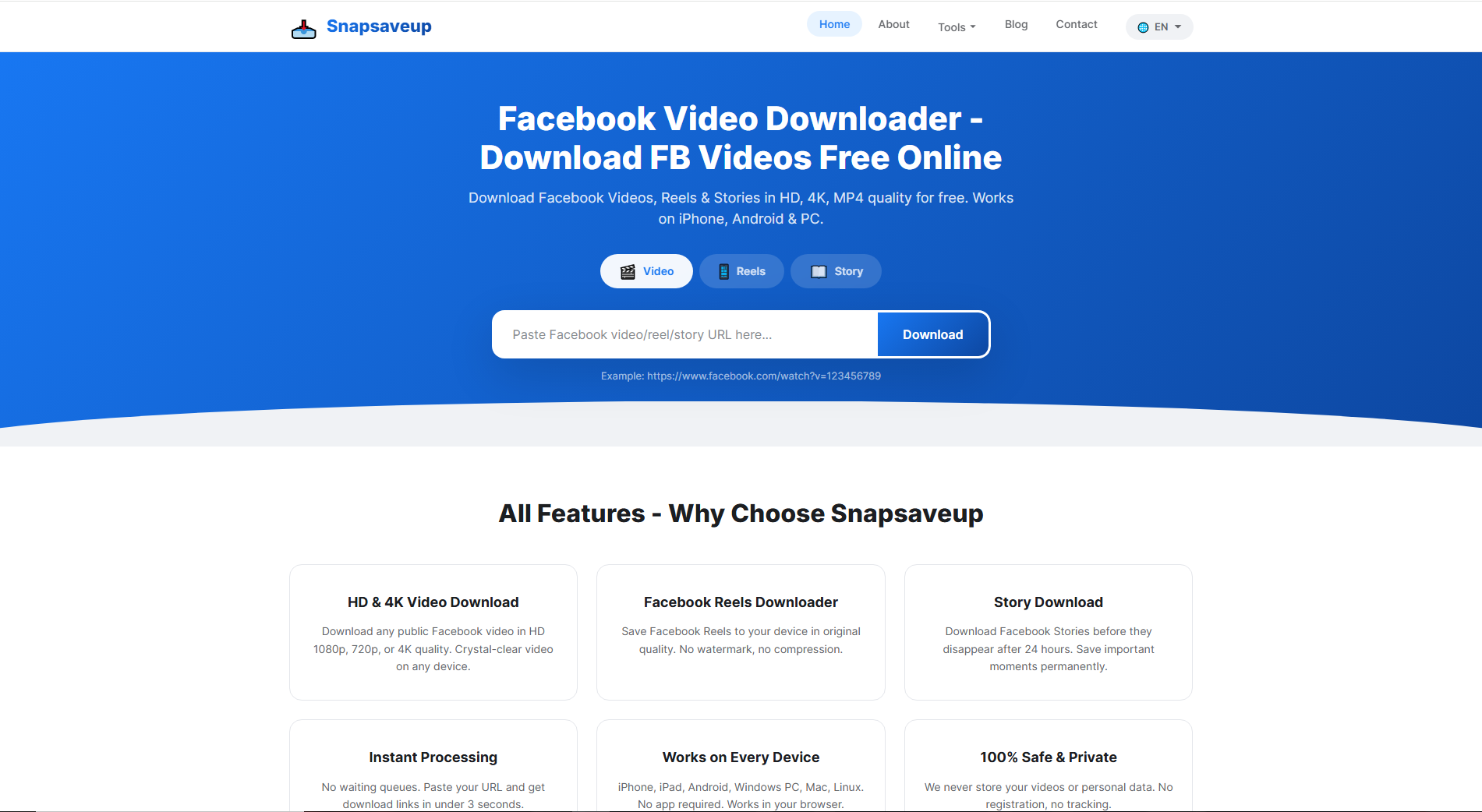 Snapsaveup — custom PHP video downloader & SEO